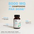French Mush compléments alimentaires à base d'extraits de champignons médicinaux biologiques fabriqués en France - 800mg d'extraits concentrés par dose - Shiitake