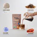 French Mush compléments alimentaires à base d'extraits de champignons médicinaux biologiques fabriqués en France - Boisson Boost Bio · Chicorée · Choose - French Mush-