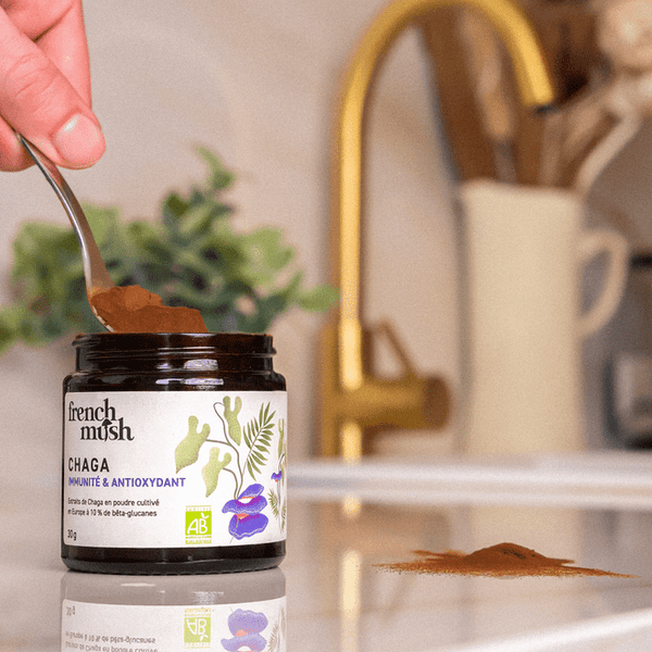 chaga-poudre_carte_cadeau-_french_mush_-_complements_alimentaires_a_base_de_champignons_fonctionnels_bio_europeens