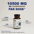 French Mush compléments alimentaires à base d'extraits de champignons médicinaux biologiques fabriqués en France Pack Summer Body Bio - -