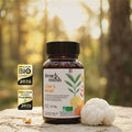 French Mush compléments alimentaires à base d'extraits de champignons médicinaux biologiques fabriqués en France - Le Lion’s Mane Bio - French Mush-gélules