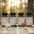 French Mush compléments alimentaires à base d'extraits de champignons médicinaux biologiques fabriqués en France - Le pack French Mush Gélules Bio - French Mush-gélules