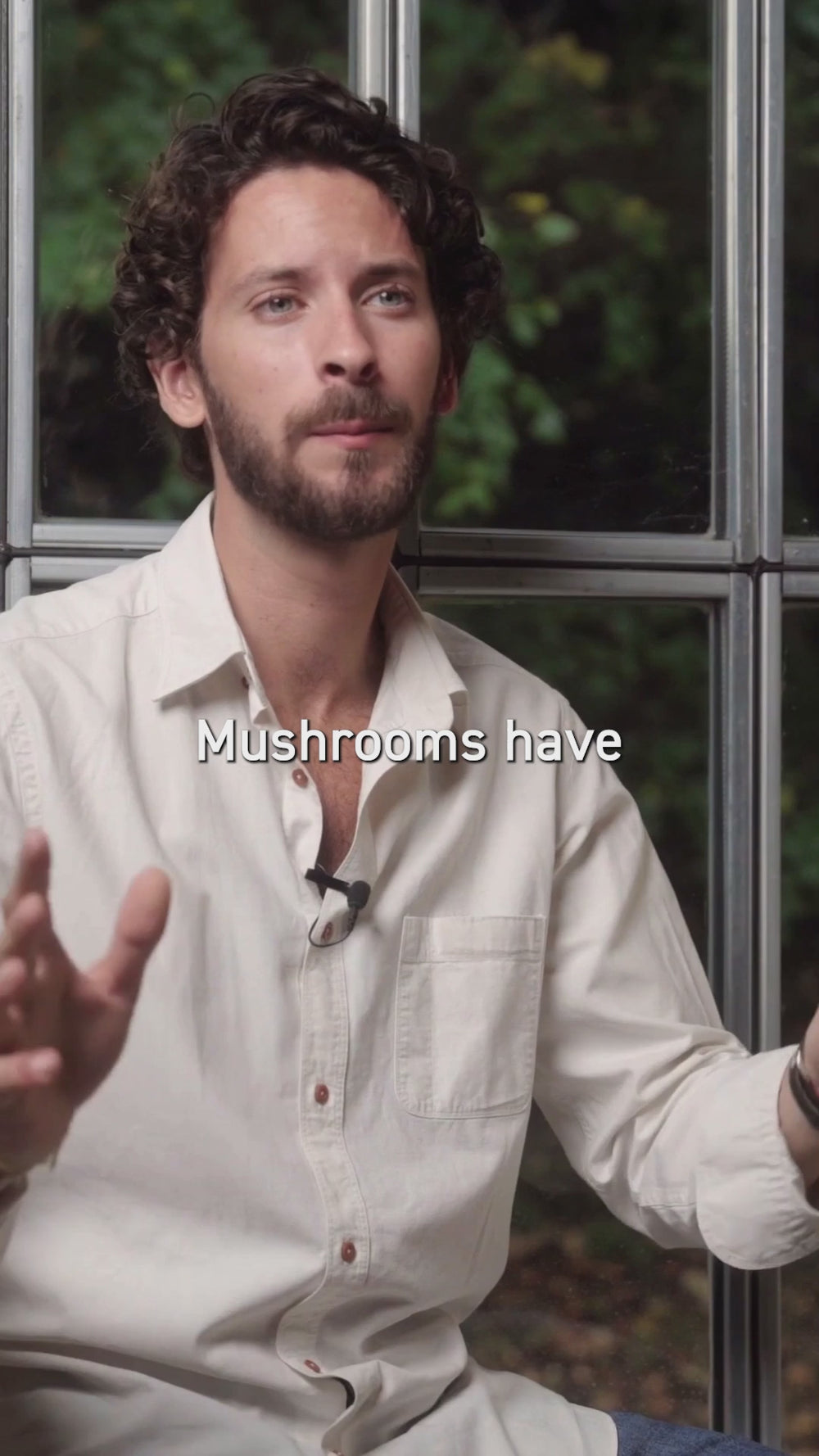 french mushrooms bio