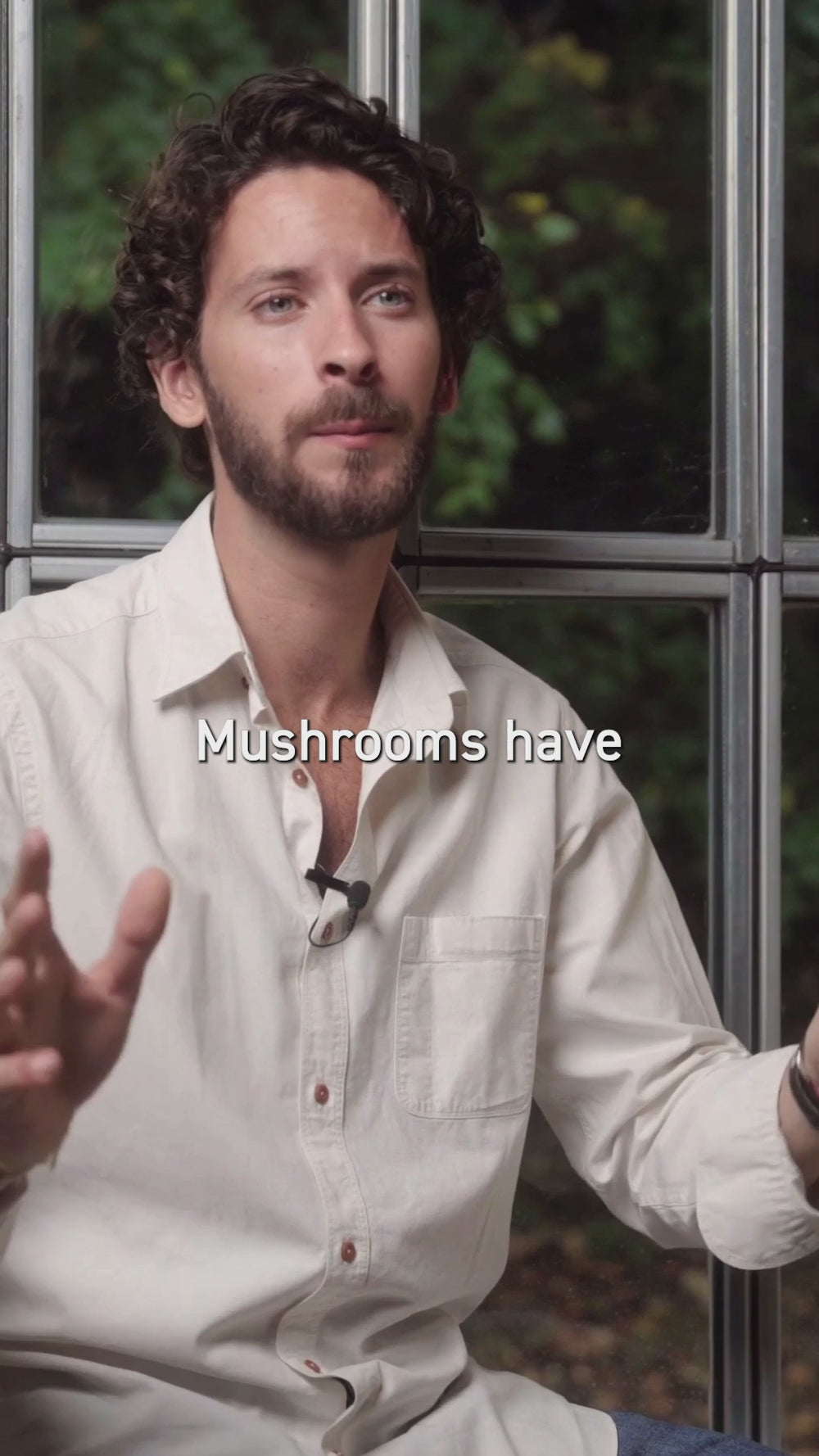 French Adaptogenic Mushrooms Online Store French Mush french-adaptogenic-mushrooms-online-store-french-mush
