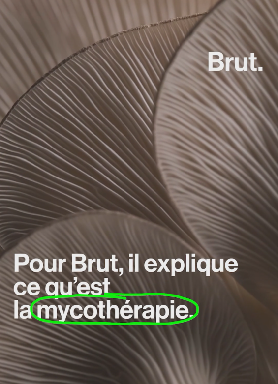 Brut mycothérapie 