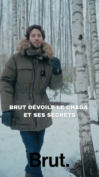 Brut dévoile le Chaga et ses secrets