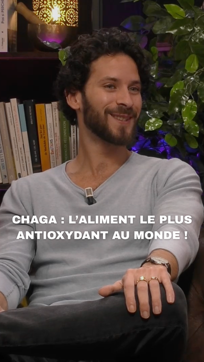 Chaga : l’aliment le plus antioxydant au monde !