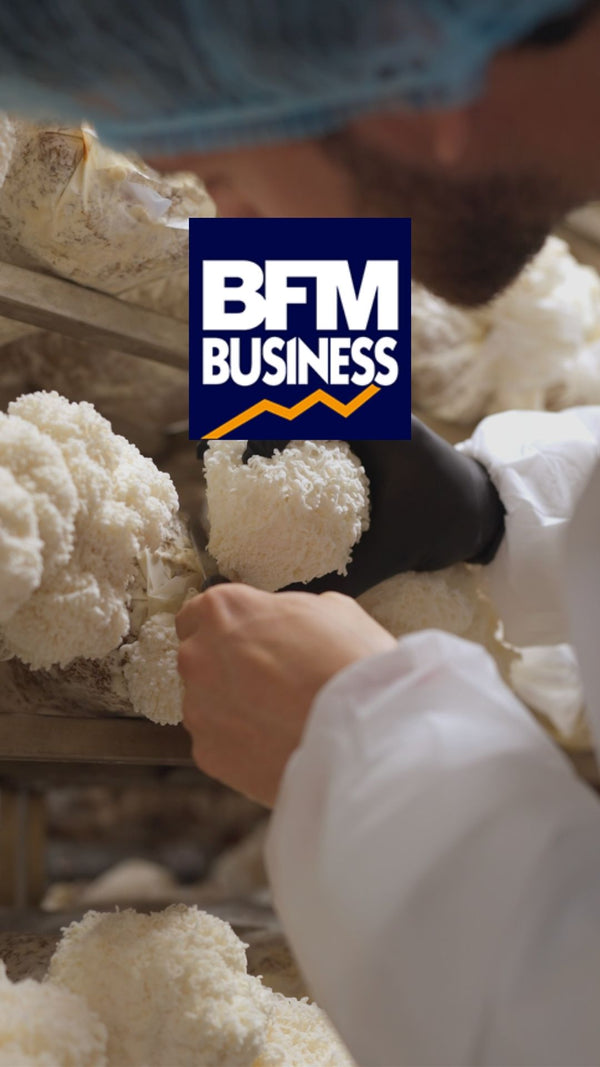 French Mush compléments alimentaires à base d'extraits de champignons médicinaux biologiques fabriqués en France - BFM TV - extraction aux ulstrasons - 4 à 8 fois plus efficace Produit le plus dosé d'Europe Cultivé en France et en Finlande Extraction breveté