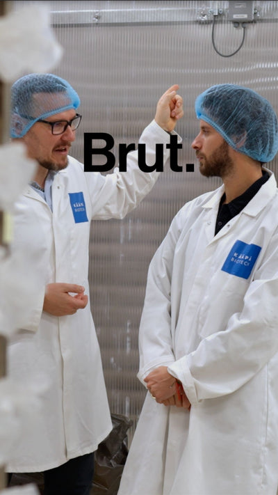 Le Lion’s Mane : de la souche à l’extraction, le secret scientifique