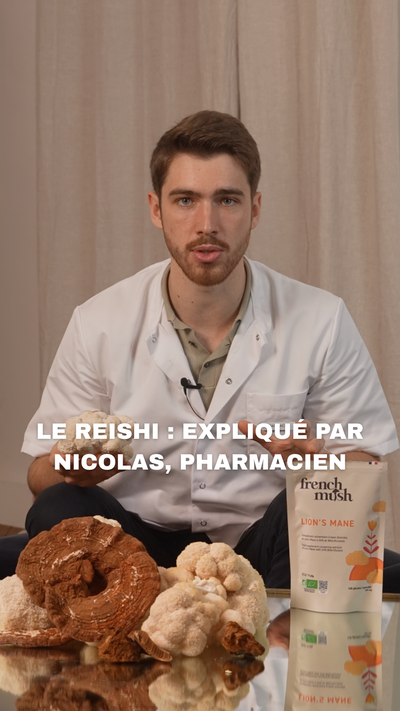Le Reishi : expliqué par Nicolas, pharmacien